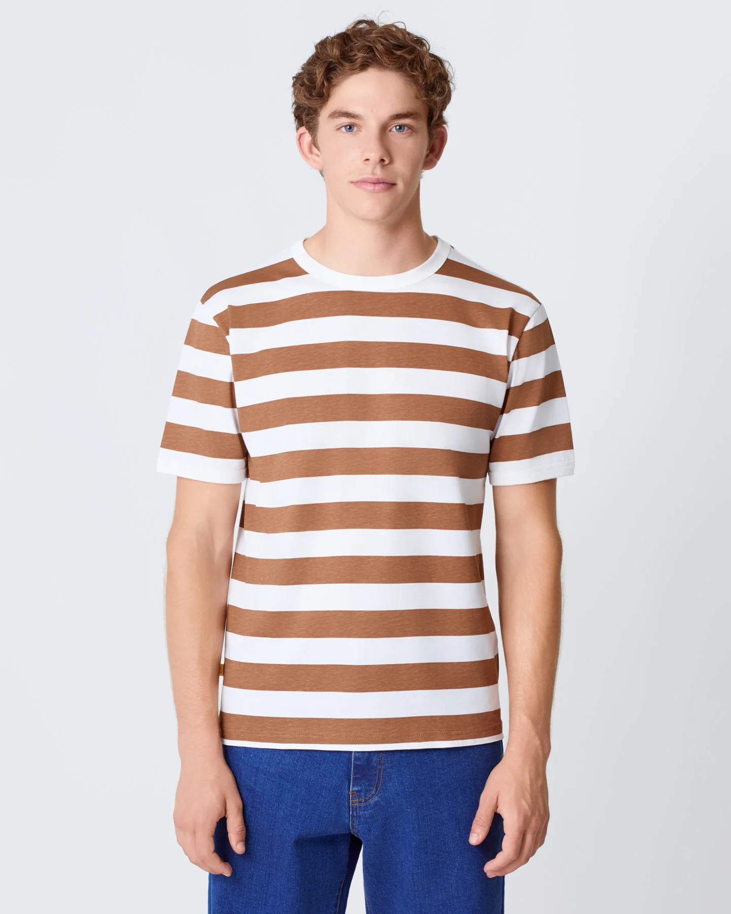 Meneres Aztec Brown Stripes - Image 4